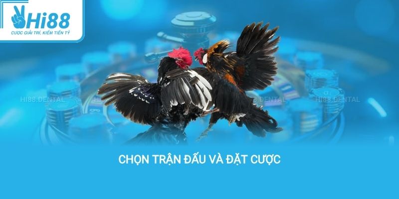 Chọn trận đấu và đặt cược