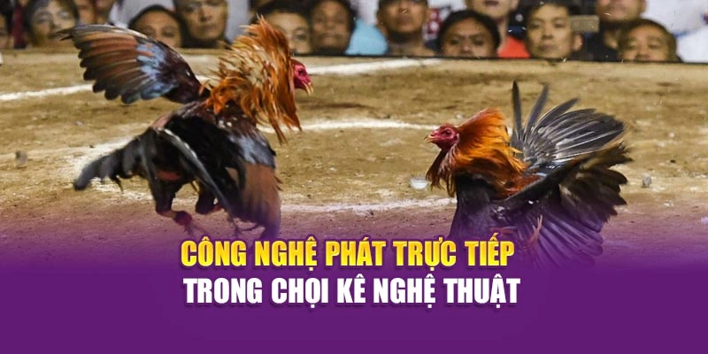 Công nghệ phát trực tiếp trong chọi kê nghệ thuật