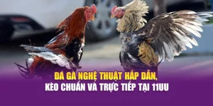 Đá Gà Nghệ Thuật Hấp Dẫn, Kèo Chuẩn Và Trực Tiếp Tại Hi88