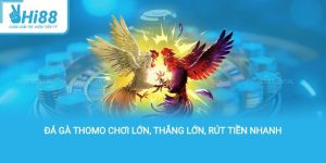 Đá Gà Thomo