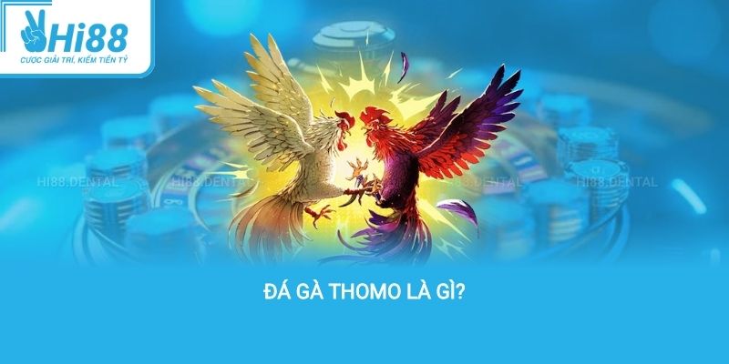 Đá gà Thomo là gì?