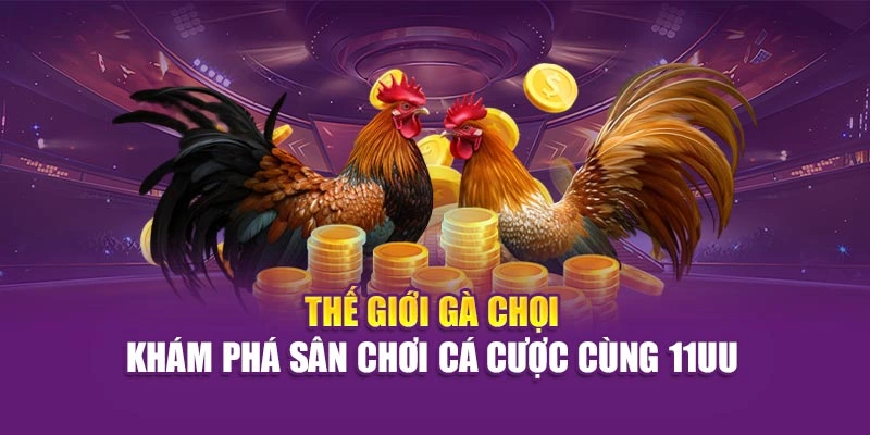 Thế Giới Gà Chọi – Khám Phá Sân Chơi Cá Cược Cùng Hi88