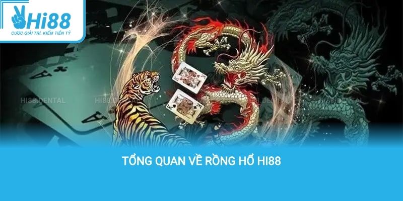 Tổng quan về rồng hổ Hi88
